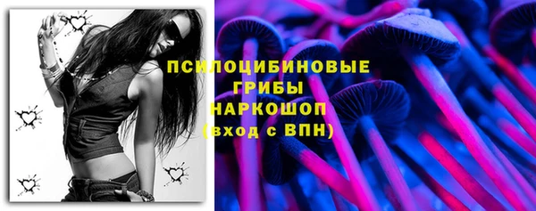 крисы Алзамай